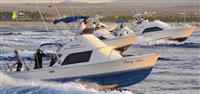 31ft Bertram "TRACY ANN"